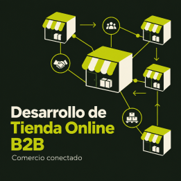 Diseño de tienda online b2b en chile | Tienda Virtual b2b