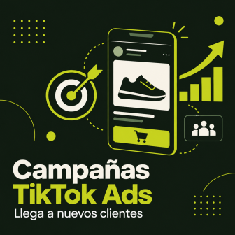 Campañas TikTok Ads