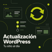 Actualización para WordPress