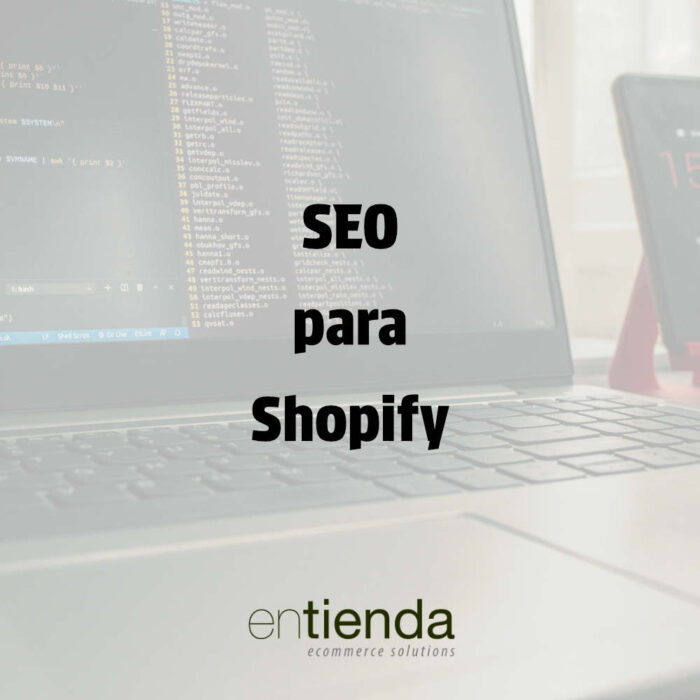 SEO para Shopify Chile | Optimización Ecommerce Entienda.cl