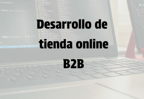 Desarrollo Tienda Online B2B Autoadministrable Chile | Entienda.cl