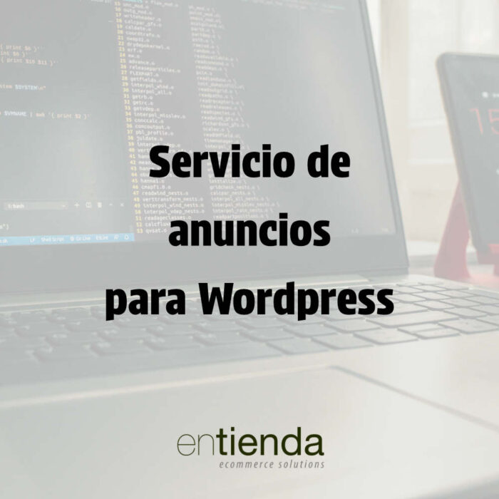 Servicio Anuncios WordPress Chile - Monetización Web | Entienda.cl