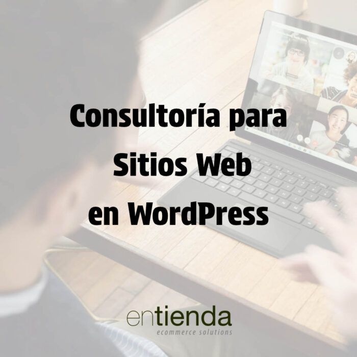 Consultoría para Sitios Web en WordPress