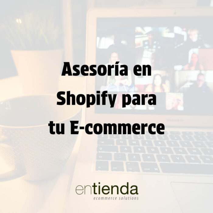 Asesoría en Shopify para tu E-commerce