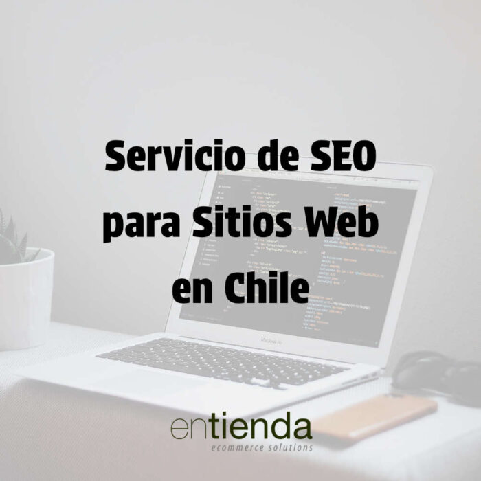 Servicio SEO para Sitios Web en Chile